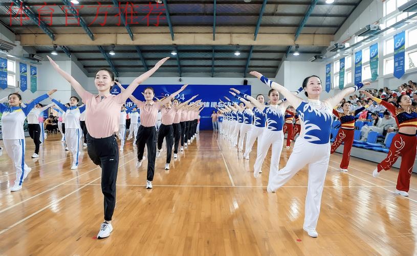 上海市民运动会匹克球项目总决赛举行